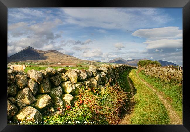 Pathway to the Mourne Mountains Framed Print by David McFarland
