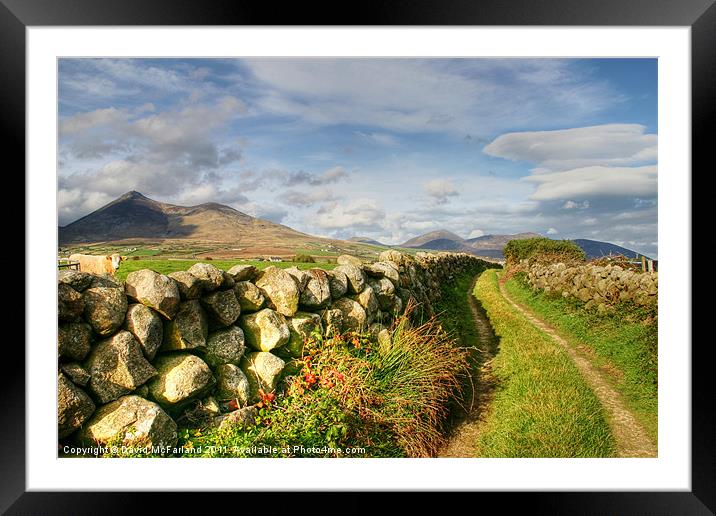 Pathway to the Mourne Mountains Framed Mounted Print by David McFarland