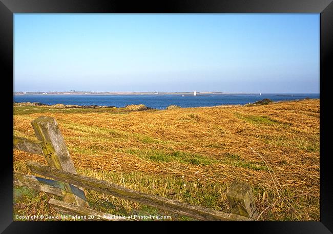 Strangford Narrows Framed Print by David McFarland