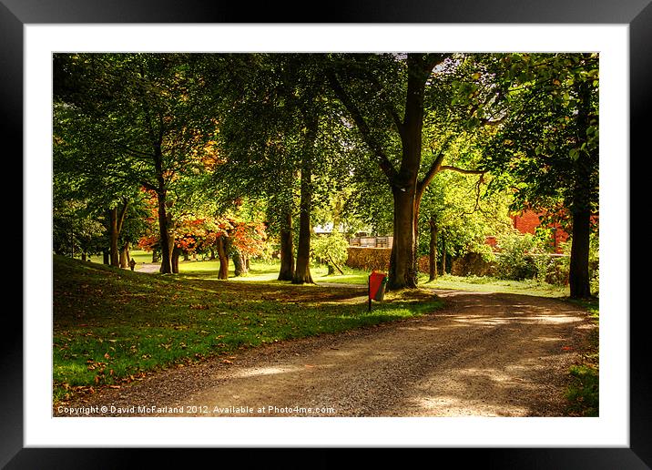 Walk in the Park Framed Mounted Print by David McFarland