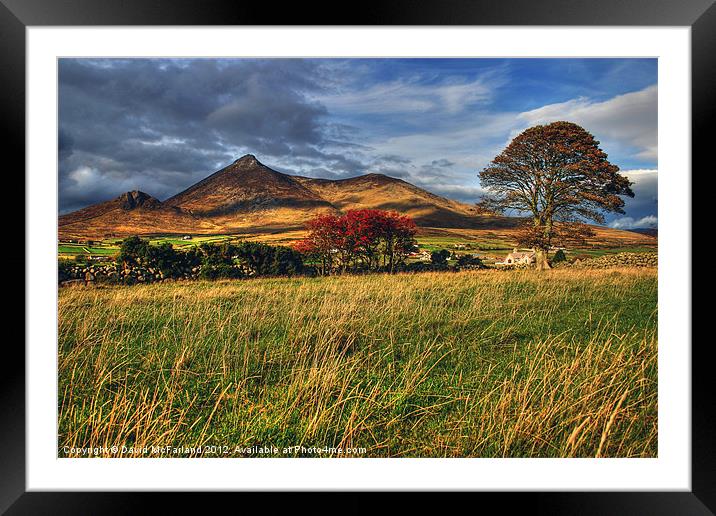 Autumn in the Mournes Framed Mounted Print by David McFarland