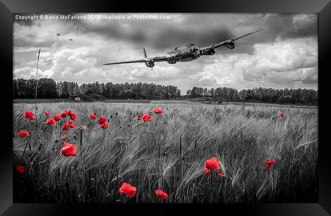 Lest we forget Framed Print by David McFarland