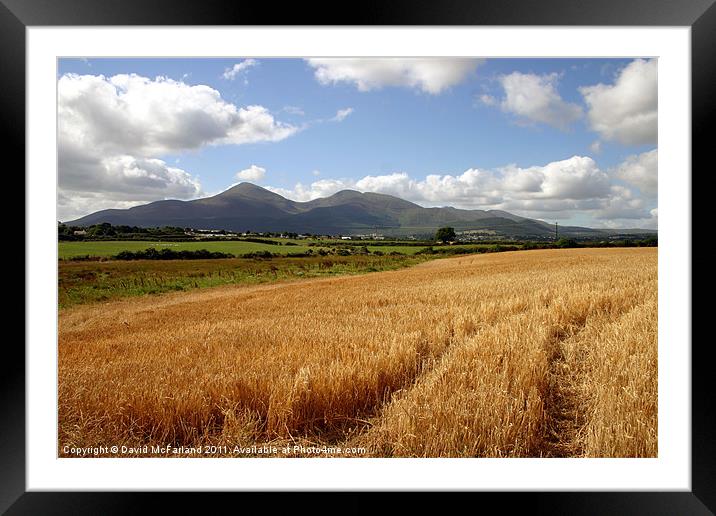 Harvest in the Mournes Framed Mounted Print by David McFarland