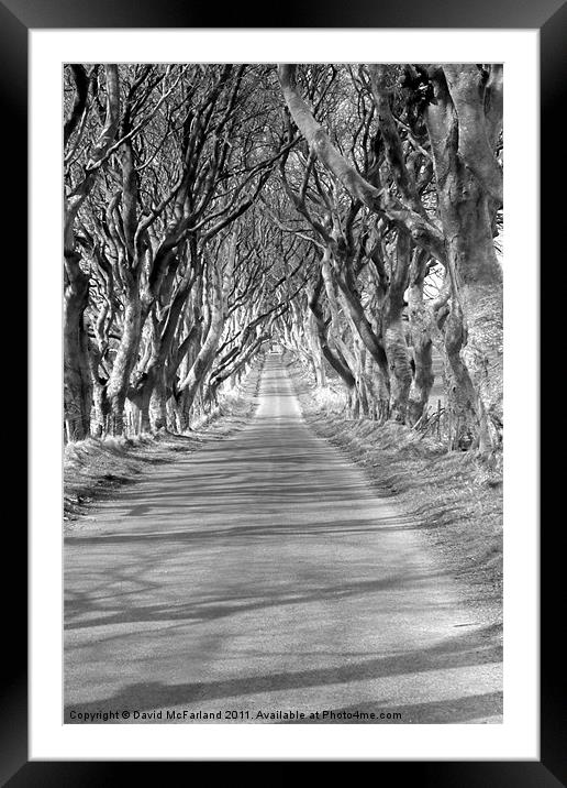 A long and lonely road Framed Mounted Print by David McFarland
