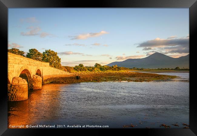 Golden glow at Murlough Framed Print by David McFarland