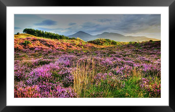 Evening in Mountains of Mourne Framed Mounted Print by David McFarland