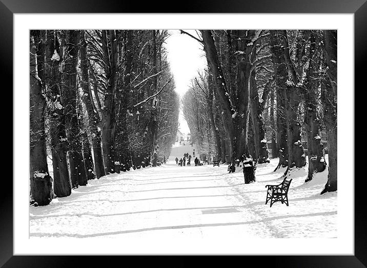 Winter walk in Lurgan Park Framed Mounted Print by David McFarland