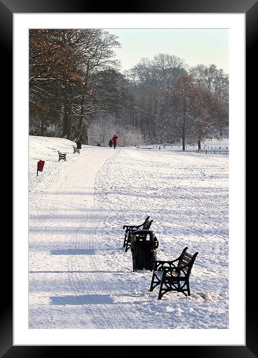 Resting place in Lurgan Park Framed Mounted Print by David McFarland