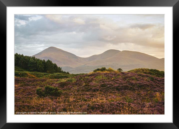 Evening falls on the Mournes Framed Mounted Print by David McFarland
