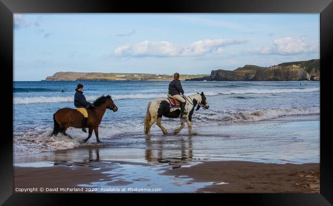 Horses on the shore in Northern Ireland Framed Print by David McFarland
