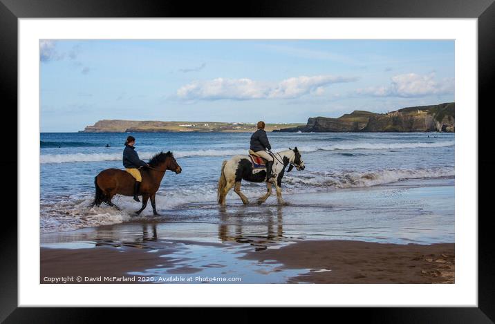 Horses on the shore in Northern Ireland Framed Mounted Print by David McFarland