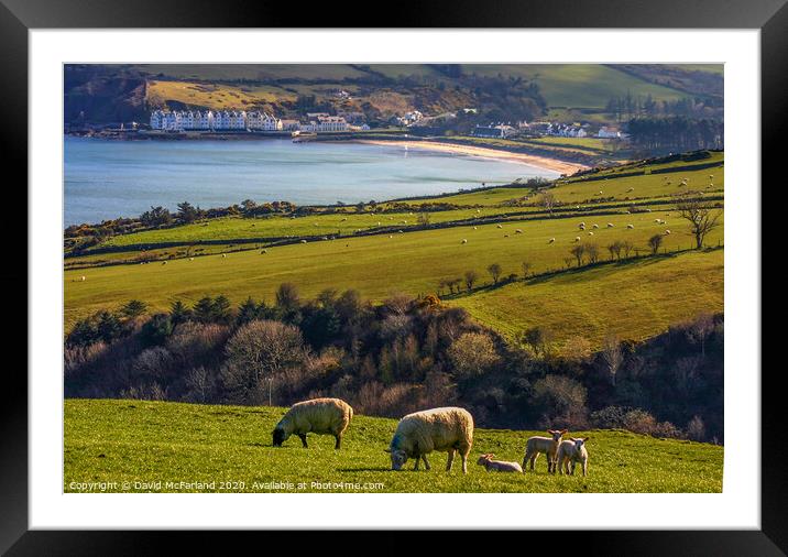 Spring at Cushendun, Northern Ireland Framed Mounted Print by David McFarland