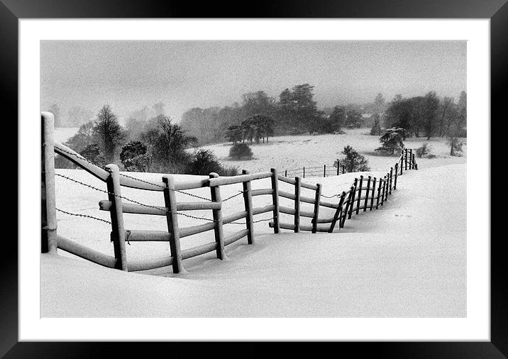 Harsh Winter Framed Mounted Print by Rob Camp