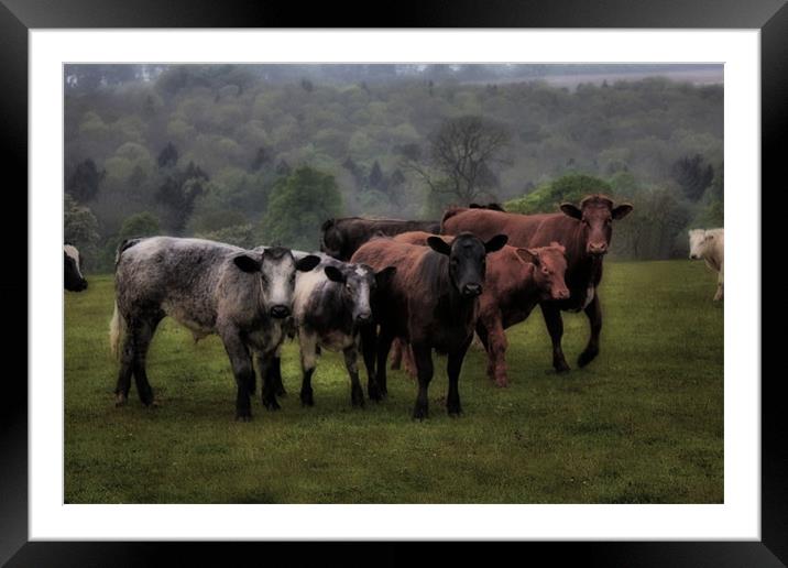 beef cake Framed Mounted Print by Martin Parkinson