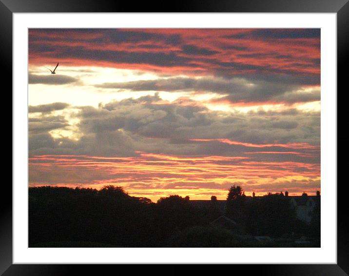 fire in the sky Framed Mounted Print by Martin Parkinson