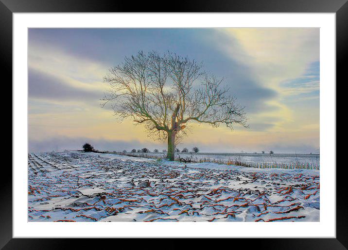  Winters Morning Framed Mounted Print by Martin Parkinson