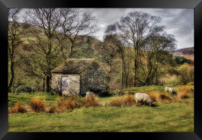 Edale Flock Framed Print by Martin Parkinson