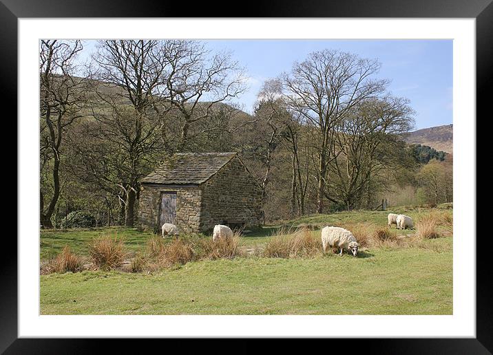 sheep hut Framed Mounted Print by Martin Parkinson