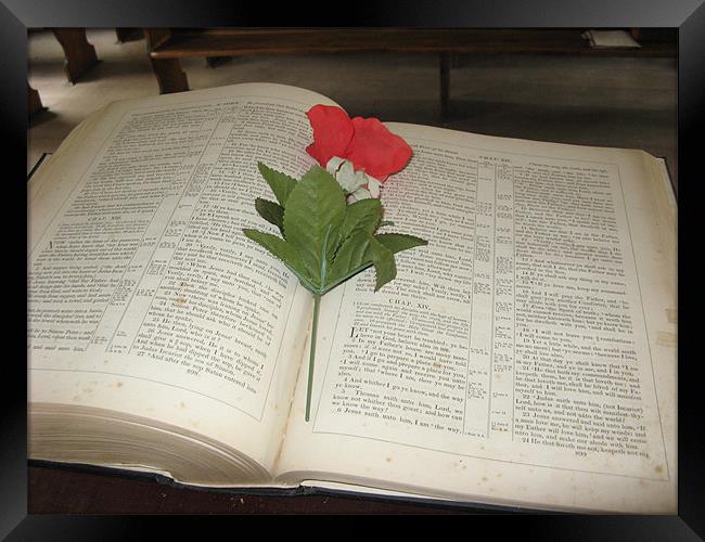 Bible with Flower Framed Print by Diane Brause