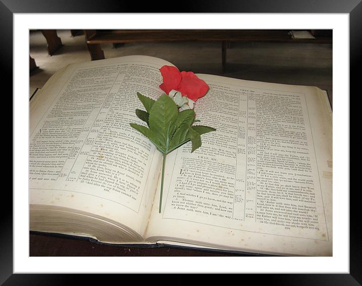 Bible with Flower Framed Mounted Print by Diane Brause