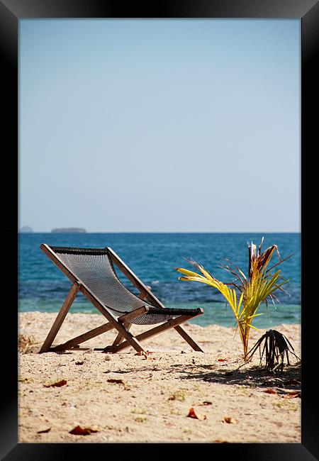 Seat in Paradise Framed Print by Heath Birrer