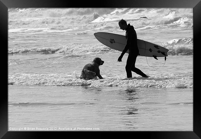 One Surfer And His Dog Framed Print by Brian Roscorla