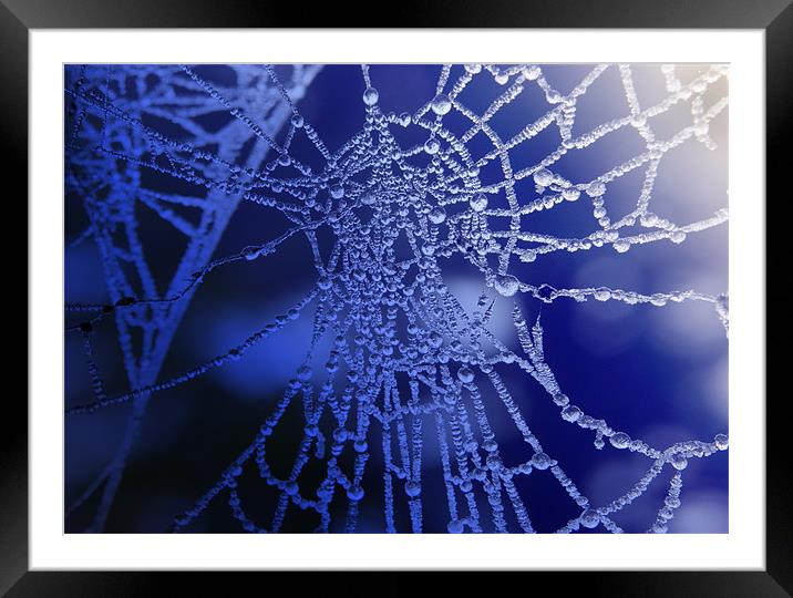 Frozen Trap Framed Mounted Print by Brian Roscorla