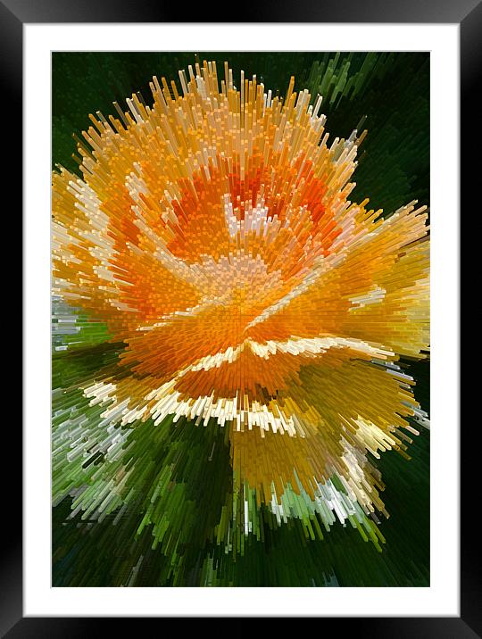 Abstract Yellow Rose Framed Mounted Print by Brian Roscorla