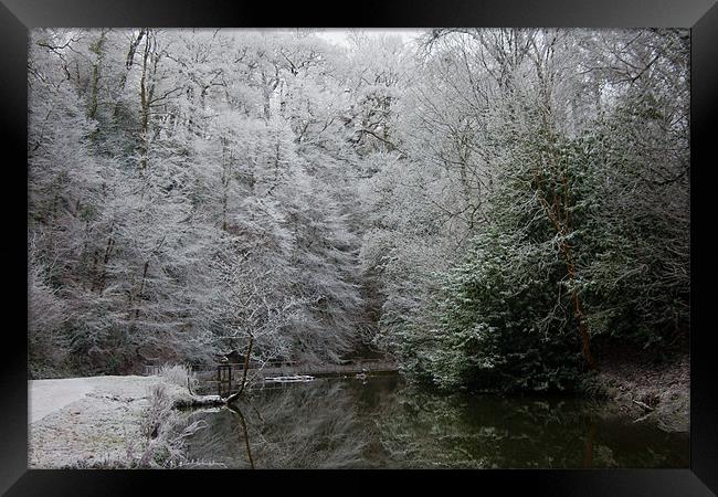 Winter Snow Scene Framed Print by Brian Roscorla