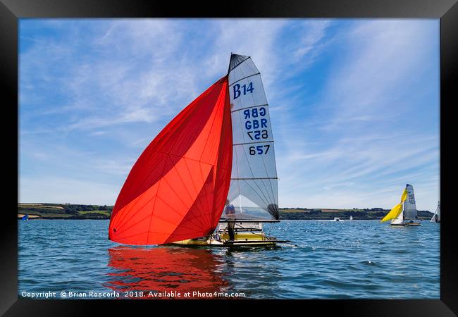 Red Spinnaker Framed Print by Brian Roscorla