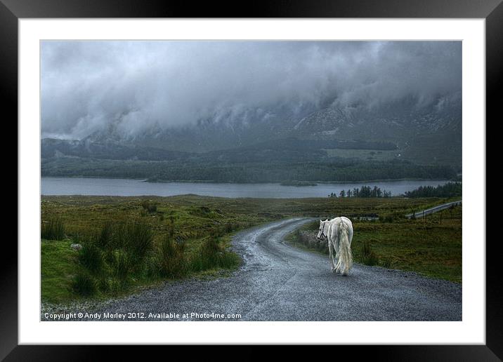 White Horse In Connemara Framed Mounted Print by Andy Morley