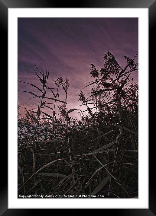 Reaching for the Sky Framed Mounted Print by Andy Morley