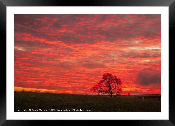 Shepherd's Delight Framed Mounted Print by Andy Morley