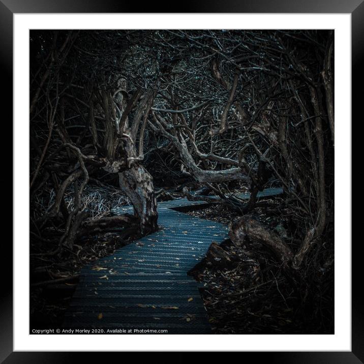 Into The Labyrinth Framed Mounted Print by Andy Morley