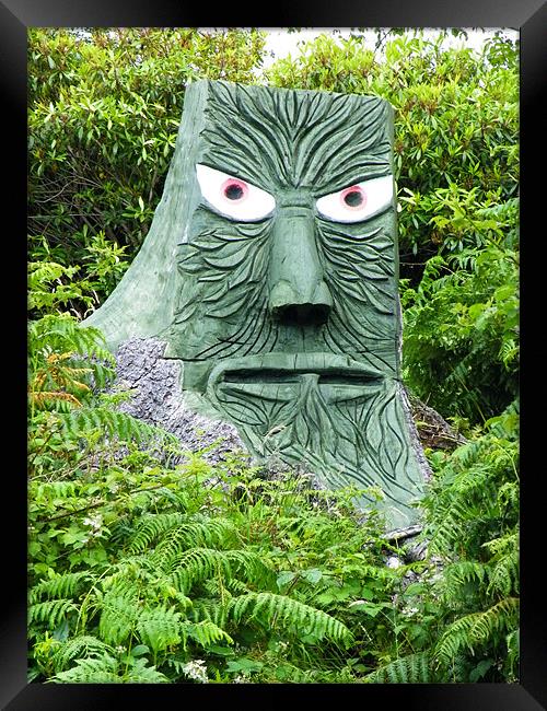 stump face Framed Print by malcolm maclean