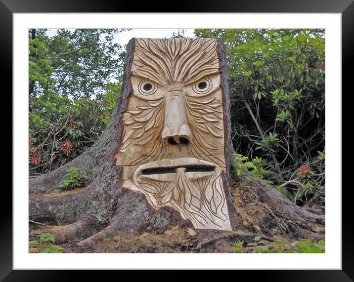 stump face unpainted Framed Mounted Print by malcolm maclean