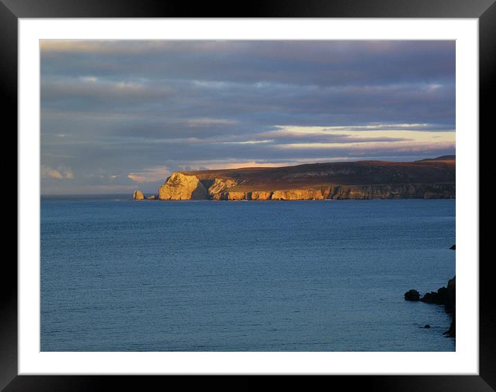 whiten head Framed Mounted Print by malcolm maclean