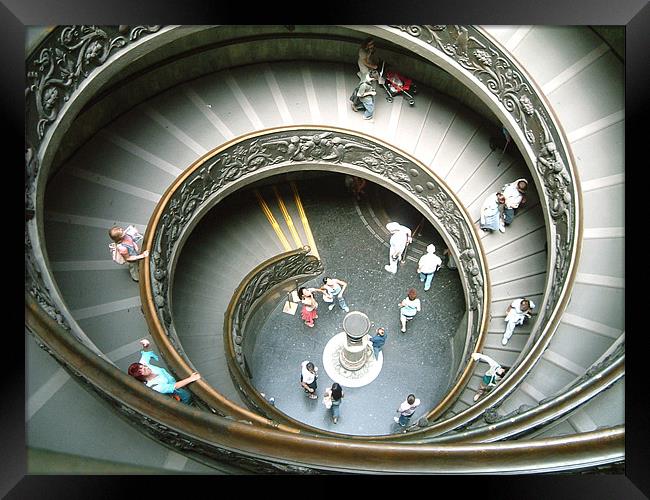 Vatican Staircase Framed Print by Alison Ward