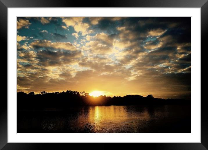 Sunset at Windsor Royal Park Framed Mounted Print by Steve Marriott