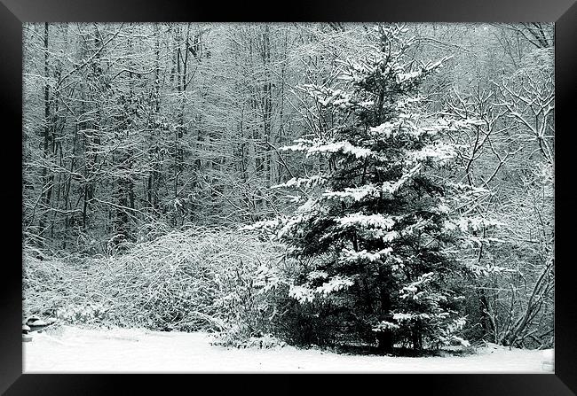 Winter Scene Tritone Framed Print by james balzano, jr.