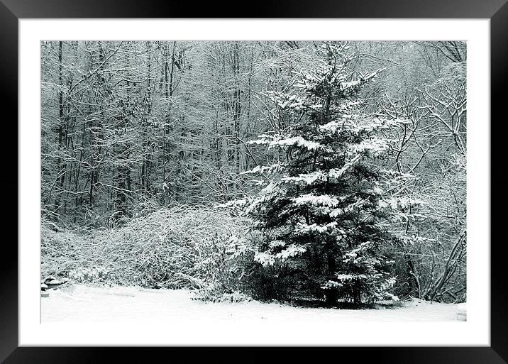Winter Scene Tritone Framed Mounted Print by james balzano, jr.