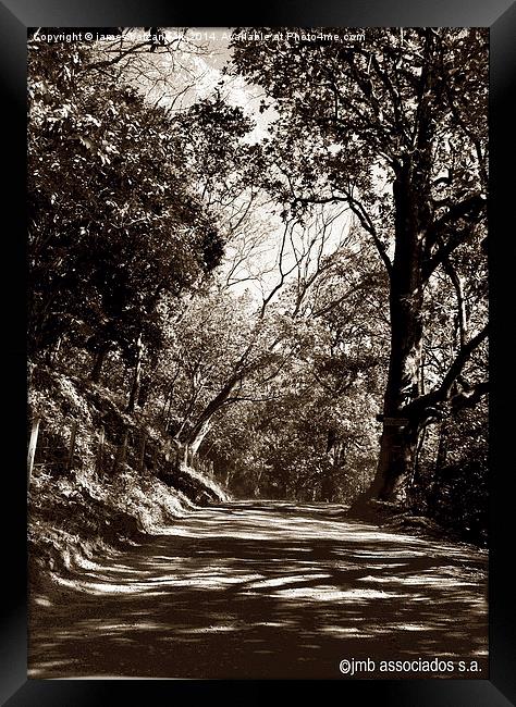 Tritone of Along the Dusty Road Framed Print by james balzano, jr.