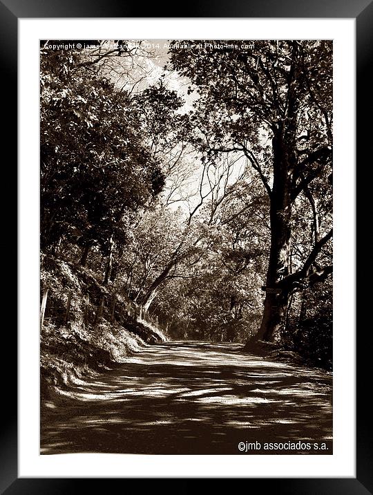 Tritone of Along the Dusty Road Framed Mounted Print by james balzano, jr.