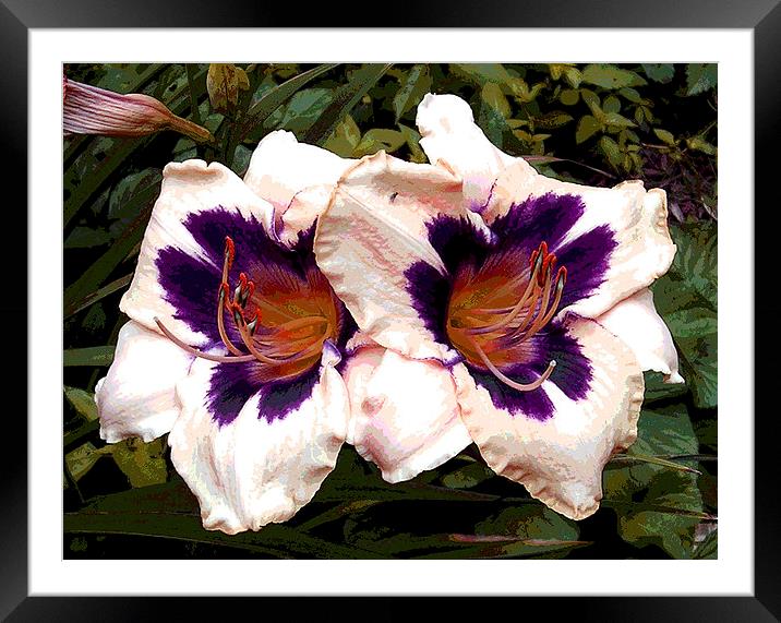 Two Colored Lily Framed Mounted Print by james balzano, jr.