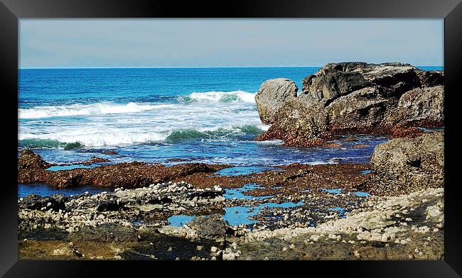  Seacoast Rocks at Low Tide Framed Print by james balzano, jr.