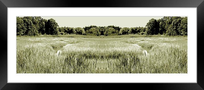 Swamp Panorama Duo Tone Framed Mounted Print by james balzano, jr.