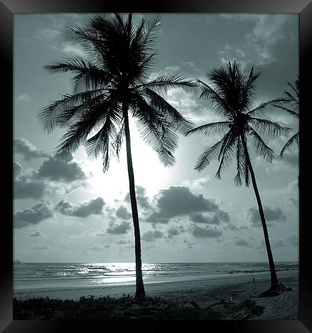  Palms and Ocean Framed Print by james balzano, jr.