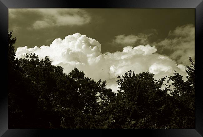  Clouds over the Trees Duo Framed Print by james balzano, jr.