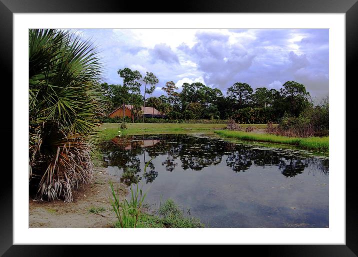  On a Cloudy Day Framed Mounted Print by james balzano, jr.