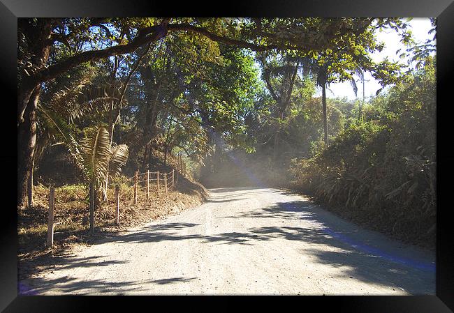 Truly Dusty Road  Framed Print by james balzano, jr.